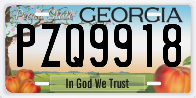 GA license plate PZQ9918
