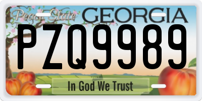 GA license plate PZQ9989