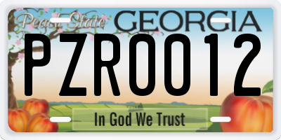 GA license plate PZR0012