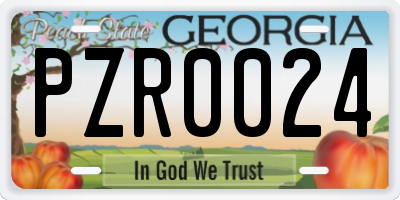 GA license plate PZR0024