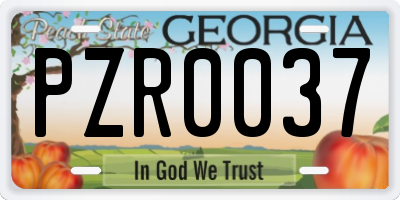 GA license plate PZR0037