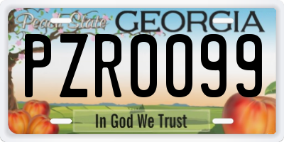 GA license plate PZR0099