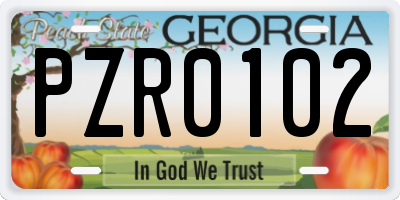 GA license plate PZR0102