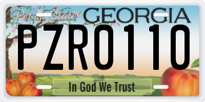 GA license plate PZR0110