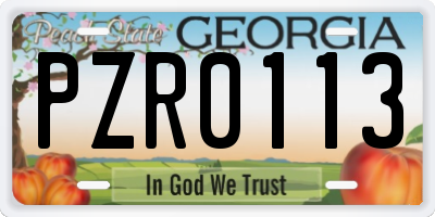 GA license plate PZR0113