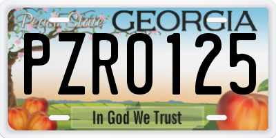 GA license plate PZR0125