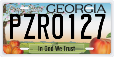 GA license plate PZR0127