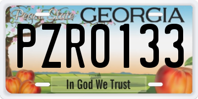 GA license plate PZR0133