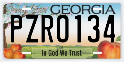 GA license plate PZR0134