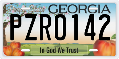 GA license plate PZR0142