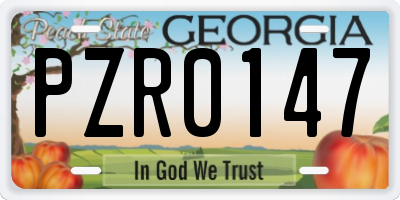 GA license plate PZR0147