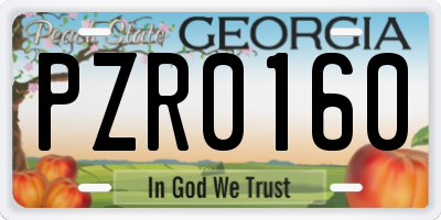 GA license plate PZR0160