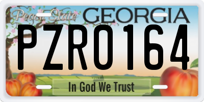 GA license plate PZR0164