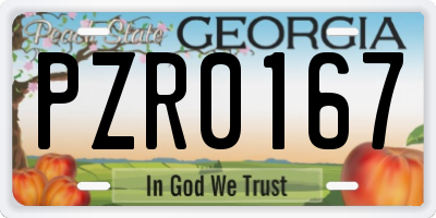GA license plate PZR0167