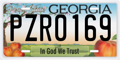 GA license plate PZR0169