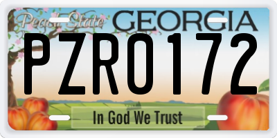 GA license plate PZR0172