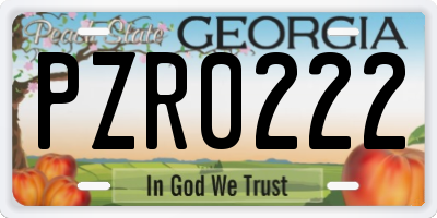 GA license plate PZR0222