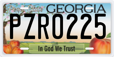 GA license plate PZR0225