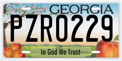 GA license plate PZR0229
