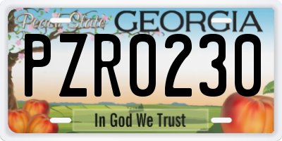 GA license plate PZR0230