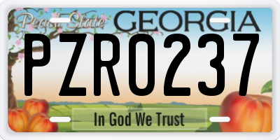 GA license plate PZR0237