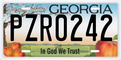 GA license plate PZR0242