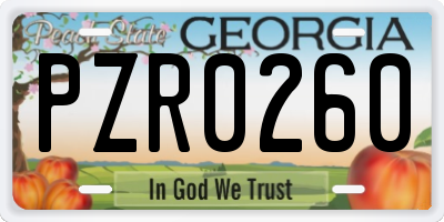 GA license plate PZR0260