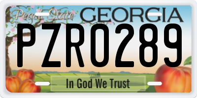 GA license plate PZR0289