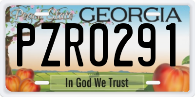 GA license plate PZR0291