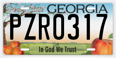 GA license plate PZR0317