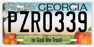 GA license plate PZR0339