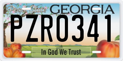 GA license plate PZR0341