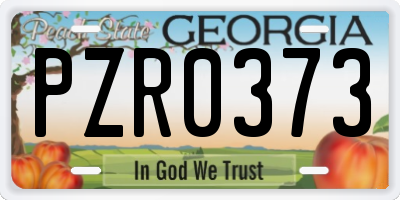 GA license plate PZR0373
