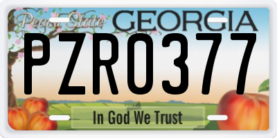 GA license plate PZR0377