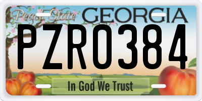 GA license plate PZR0384