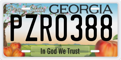 GA license plate PZR0388