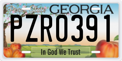 GA license plate PZR0391