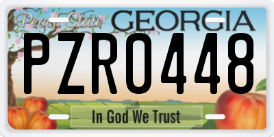 GA license plate PZR0448