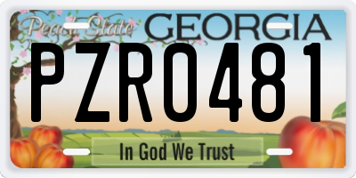 GA license plate PZR0481