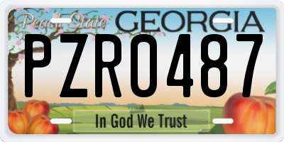 GA license plate PZR0487