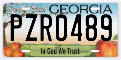 GA license plate PZR0489