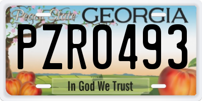 GA license plate PZR0493
