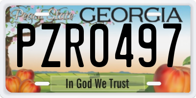GA license plate PZR0497