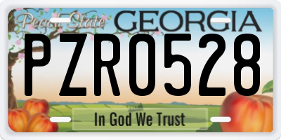 GA license plate PZR0528