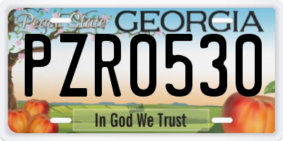 GA license plate PZR0530