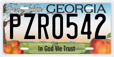 GA license plate PZR0542