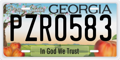 GA license plate PZR0583