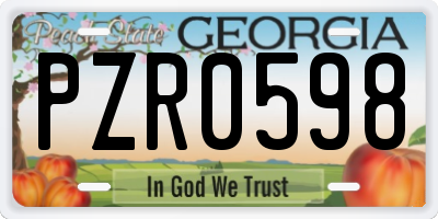 GA license plate PZR0598