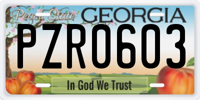 GA license plate PZR0603