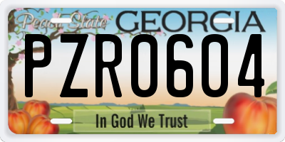 GA license plate PZR0604